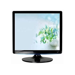 ESONIC ESLM17 SERIES 17-Inch Square LED Monitor